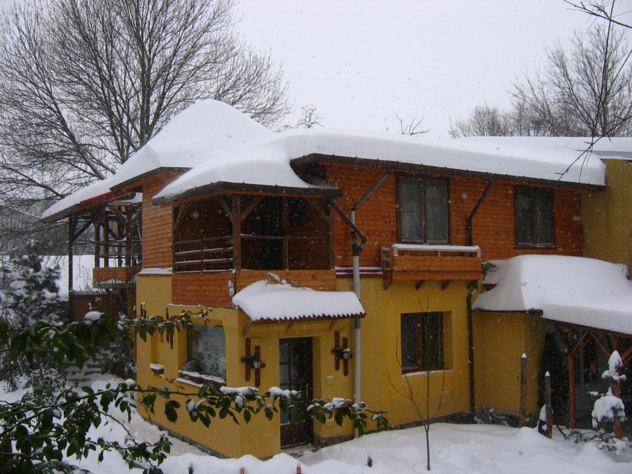 Casa Mica Guesthouse بوخارست المظهر الخارجي الصورة
