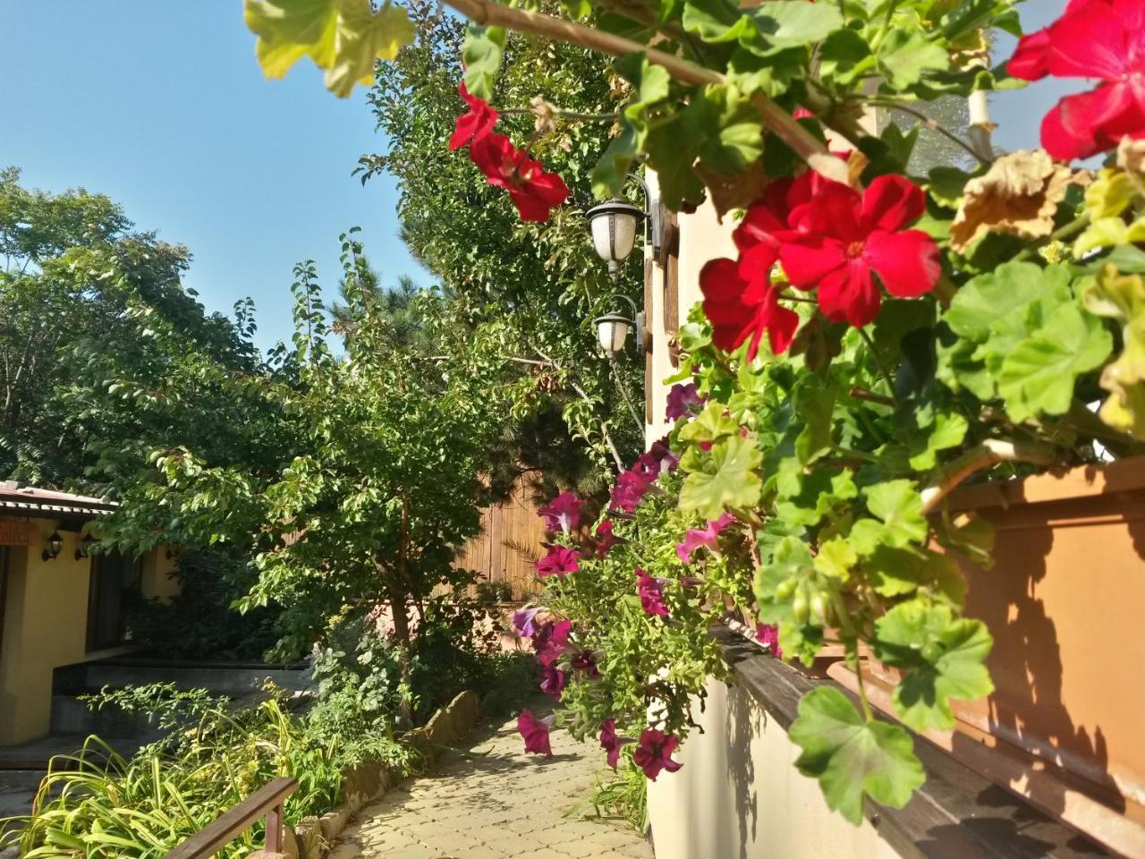 Casa Mica Guesthouse بوخارست المظهر الخارجي الصورة