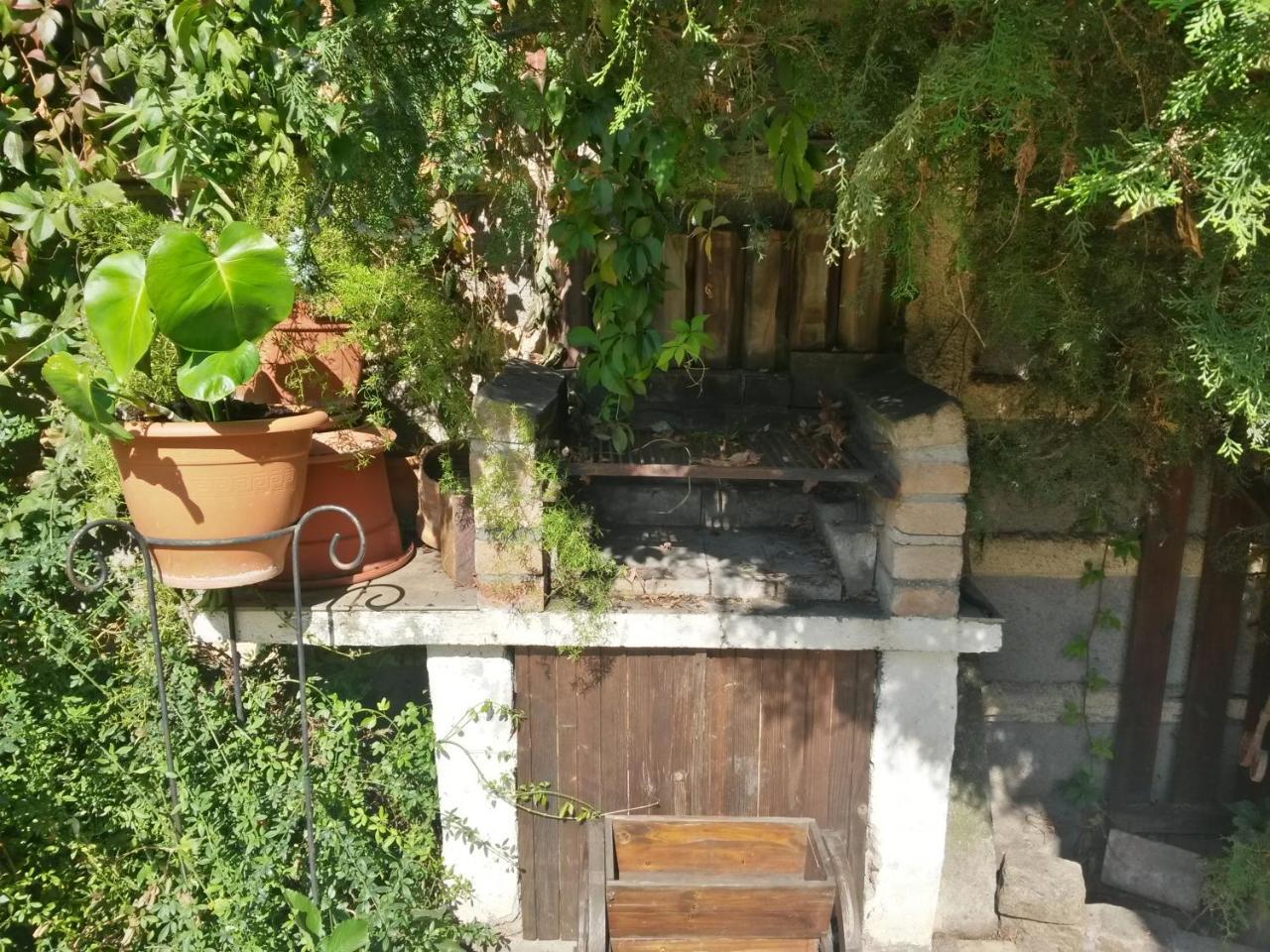 Casa Mica Guesthouse بوخارست المظهر الخارجي الصورة