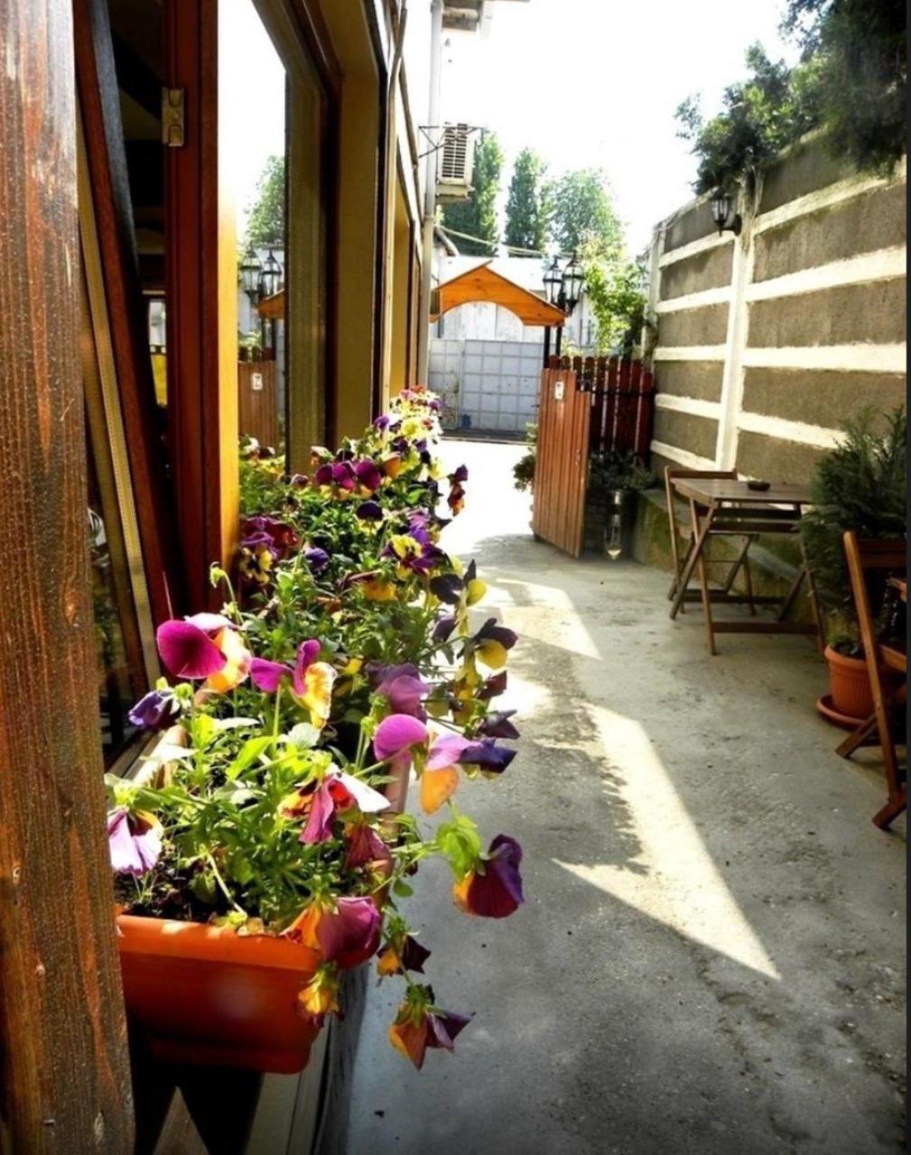 Casa Mica Guesthouse بوخارست المظهر الخارجي الصورة
