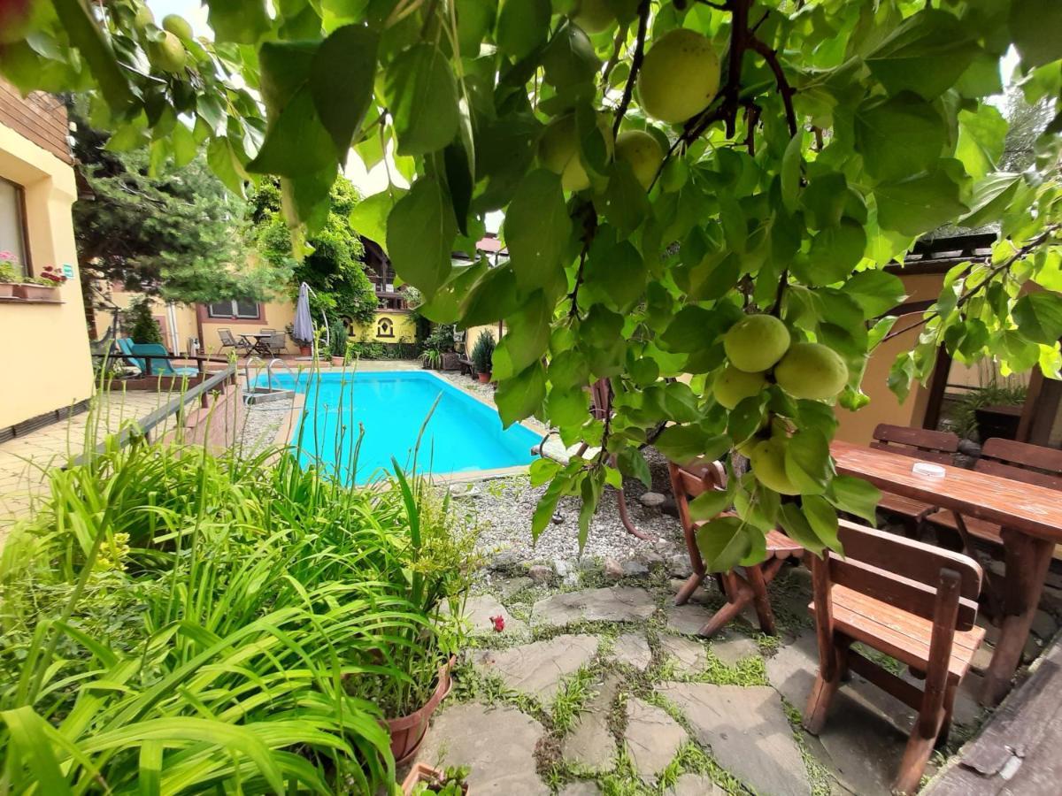 Casa Mica Guesthouse بوخارست المظهر الخارجي الصورة